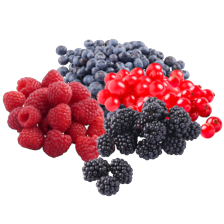 Blauwe bessen, frambozen, rode bessen of bramen